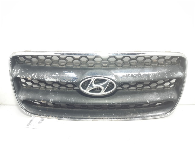 Kupić Atrapa chłodnicy Hyundai Santa Fe II CM w dobrej cenie