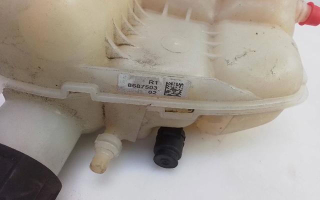 Zbiorniczek wyrównawczy układu chłodzenia 8687503 BMW