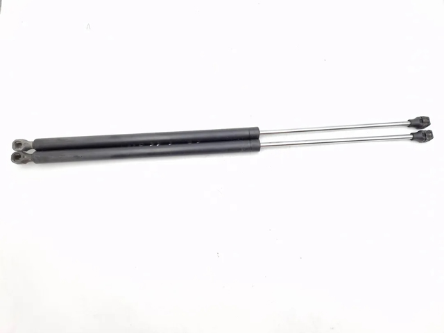 8731G6 Peugeot/Citroen