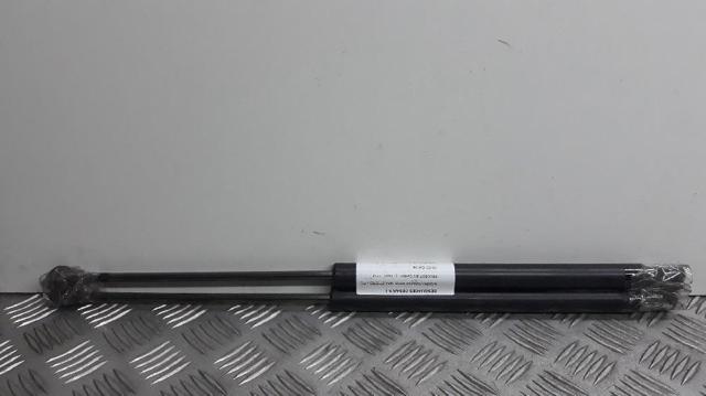 8731L7 Peugeot/Citroen