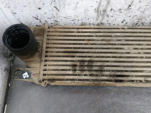 874806M Renault (RVI)