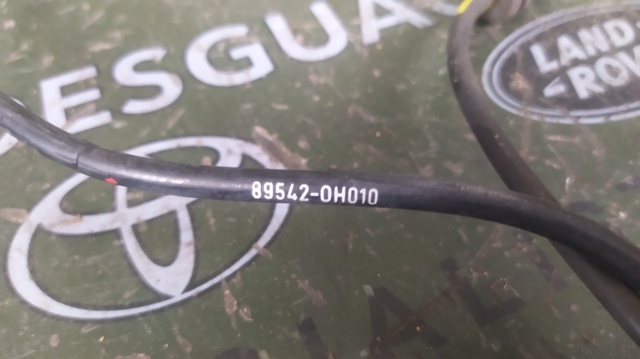 Czujnik ABS przedni 895420H010 TOYOTA