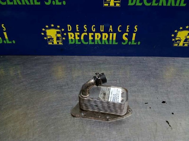 897385813 Opel