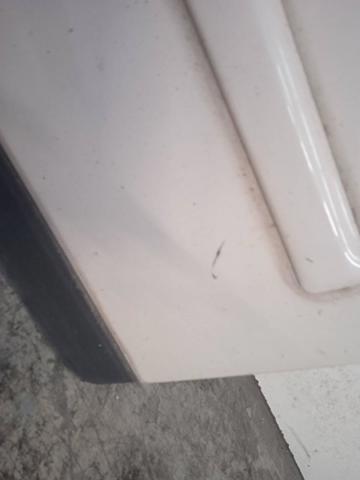 Drzwi przednie lewe Audi A4 8E2