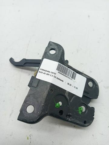 8P3827505 VAG