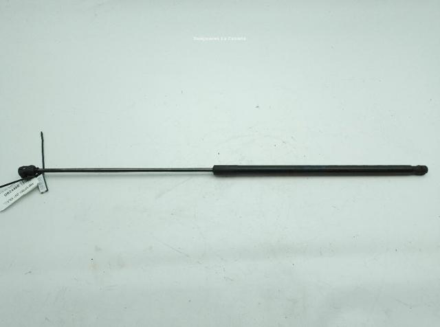 Amortyzator maski 8V082335903S VAG