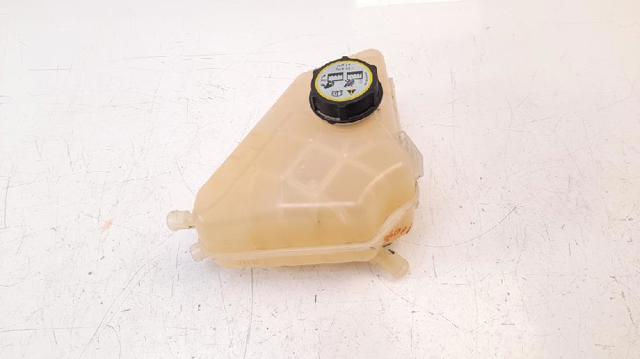 Zbiorniczek wyrównawczy układu chłodzenia 8V218K218AB FORD