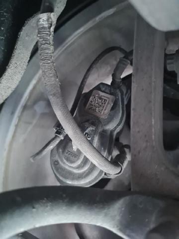 Zacisk hamulcowy tylny prawy 8W0615404 VAG