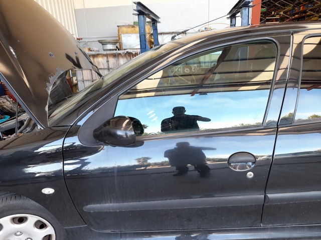 Kupić Drzwi przednie lewe Peugeot 206  2A/C w dobrej cenie