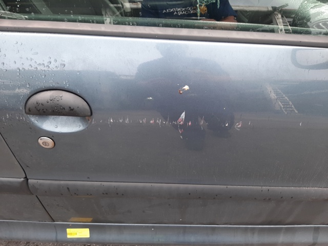 Drzwi przednie prawe Peugeot 206 2A/C