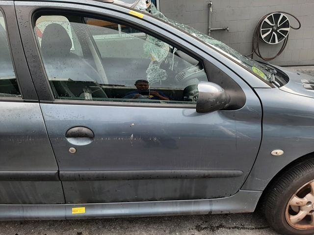 Drzwi przednie prawe Peugeot 206 2A/C