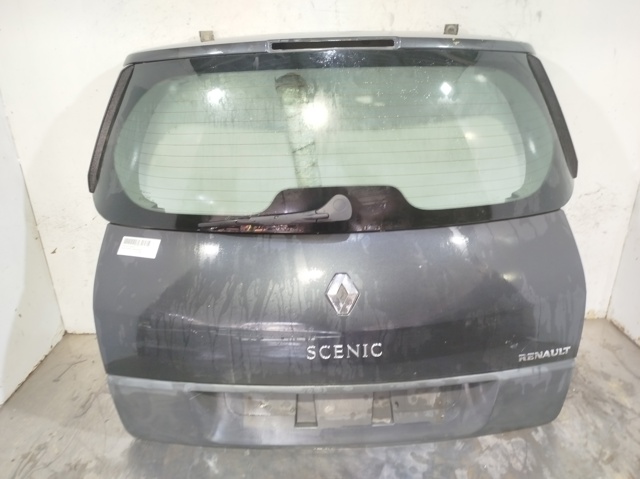 Drzwi tylne (bagażnika 3/5) 901001629R RENAULT