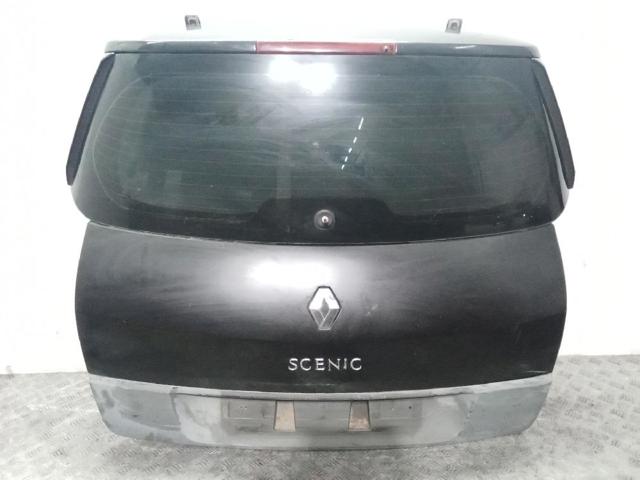Drzwi tylne (bagażnika 3/5) 901001629R RENAULT