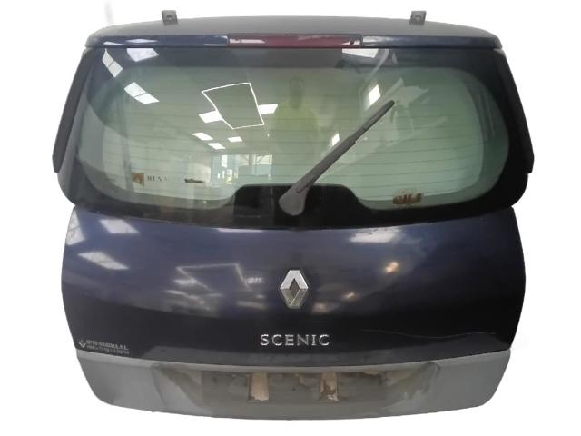 Drzwi tylne (bagażnika 3/5) 901001629R RENAULT