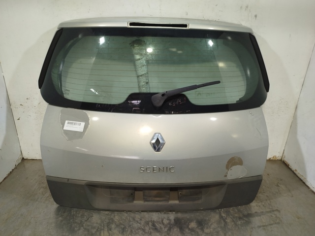 Drzwi tylne (bagażnika 3/5) 901001629R RENAULT
