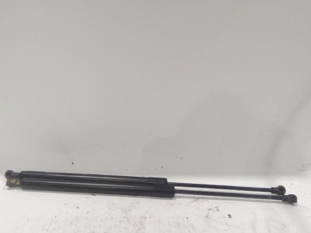 Amortyzator klapy bagażnika (3/5 drzwi-tylnych) 904500004R RENAULT