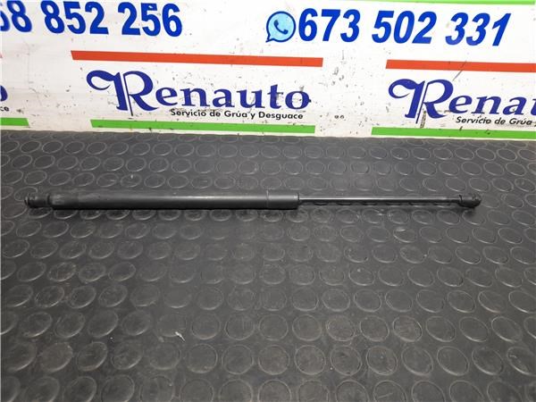 904500004R Renault (RVI)