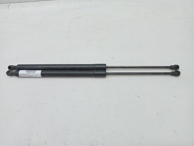 Amortyzator klapy bagażnika (3/5 drzwi-tylnych) 904500004R RENAULT