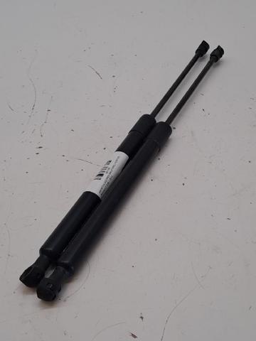 904502915R Renault (RVI)
