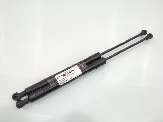 904502915R Renault (RVI)