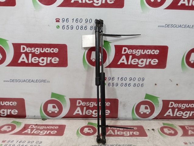 904507649R Renault (RVI)