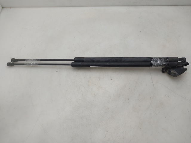 904510005R Renault (RVI)