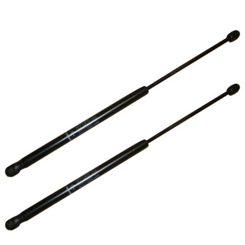 904510005R Renault (RVI)