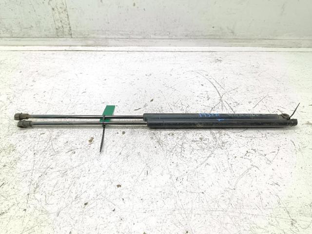 904513981R Renault (RVI)