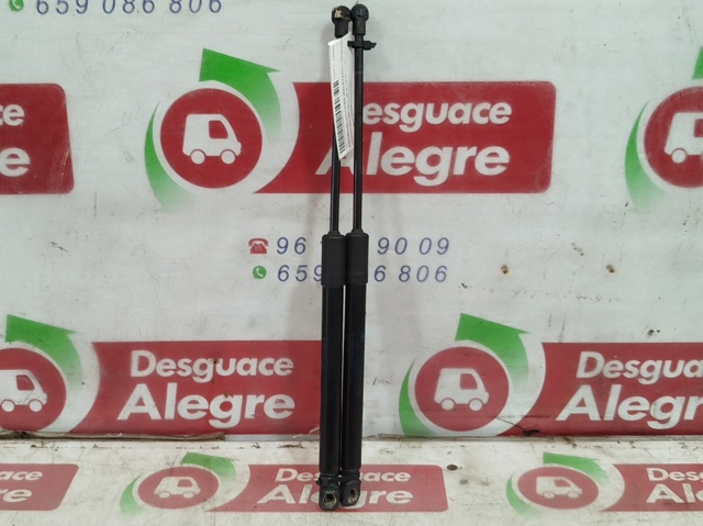 904514584R Renault (RVI)