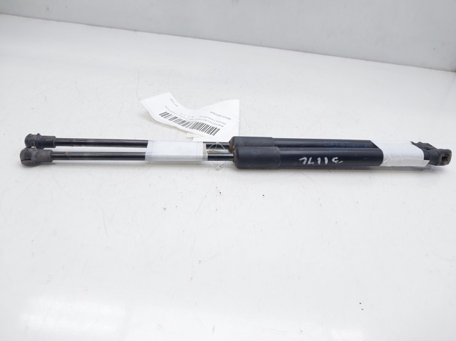 904516026R Renault (RVI)
