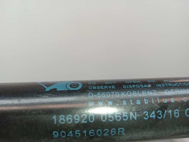 904516026R Renault (RVI)