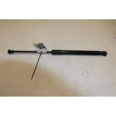 904516026R Renault (RVI)