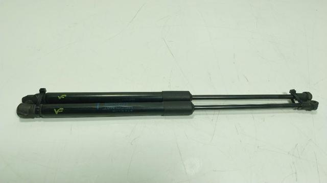 904516026R Renault (RVI)