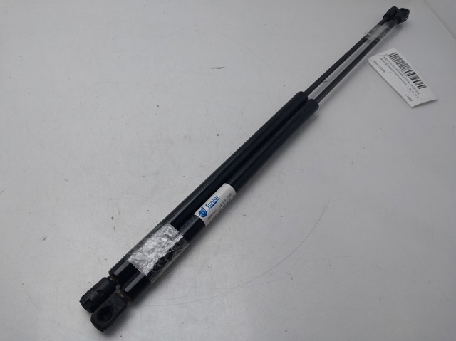 904517337R Renault (RVI)