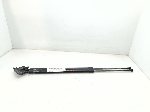904517337R Renault (RVI)