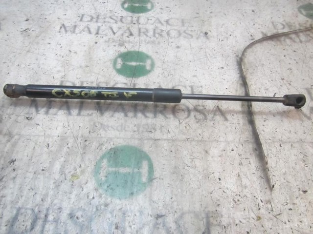 904520004R Renault (RVI)