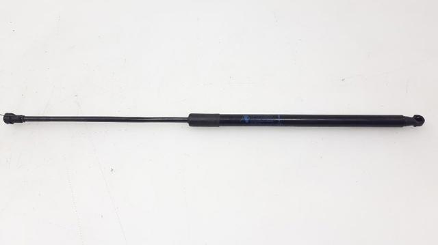 904520004R Renault (RVI)