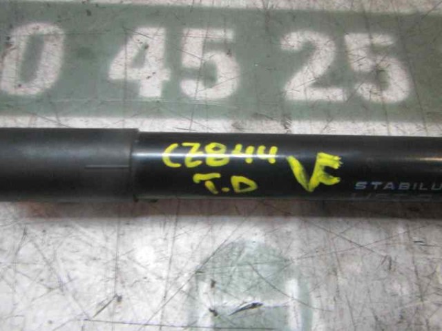 904520004R Renault (RVI)