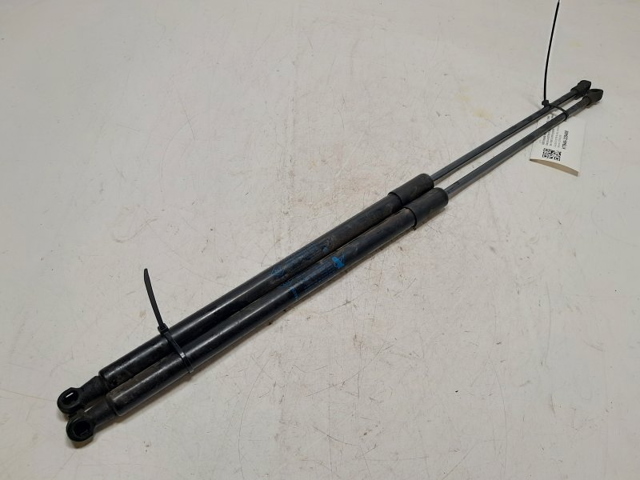 904522228R Renault (RVI)