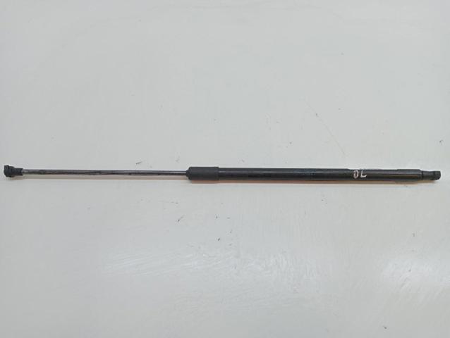 Amortyzator klapy bagażnika (3/5 drzwi-tylnych) 904522228R RENAULT