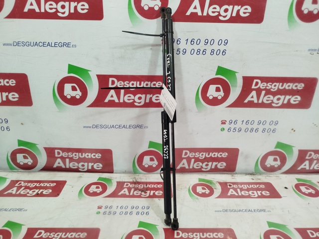 Amortyzator klapy bagażnika (3/5 drzwi-tylnych) 904527457R RENAULT