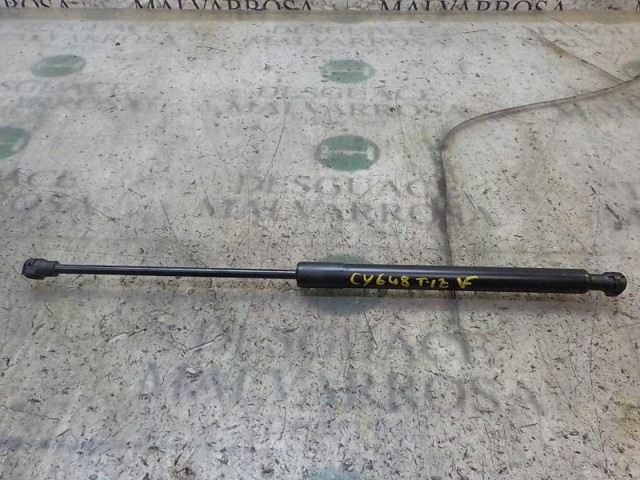 904529943R Renault (RVI)
