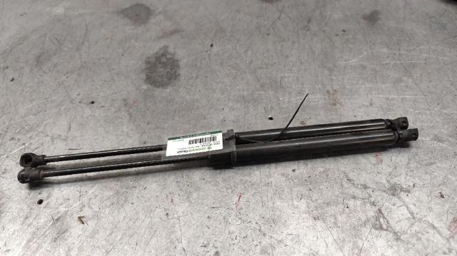 904529943R Renault (RVI)