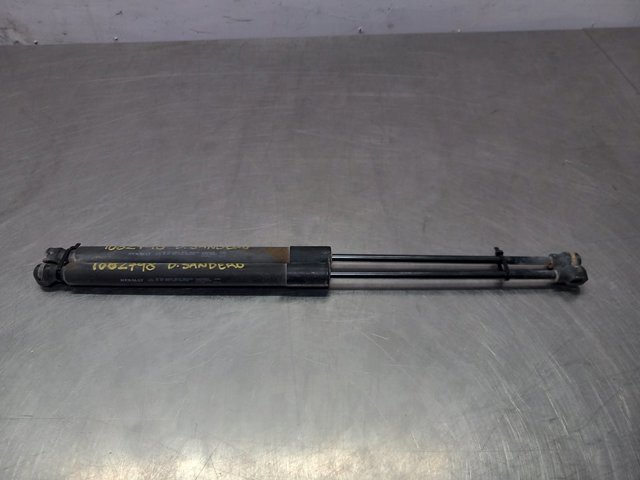 904529943R Renault (RVI)