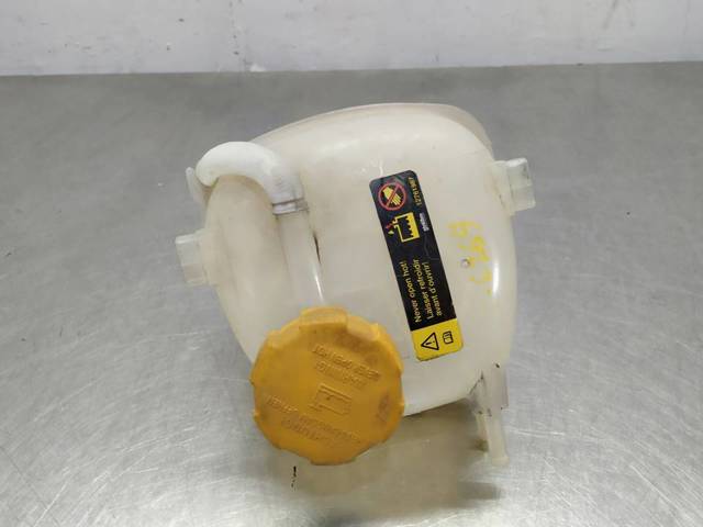 Zbiorniczek wyrównawczy układu chłodzenia 9202200 GM