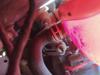 Główny cylinder hamulców 93172089 GM