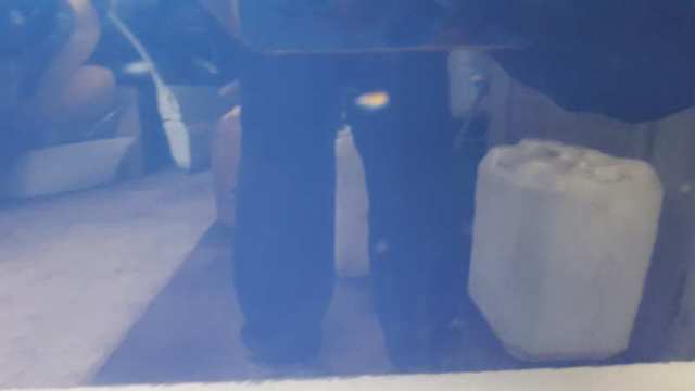 Drzwi przednie prawe Opel Astra F07