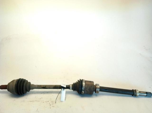 93453895 Opel