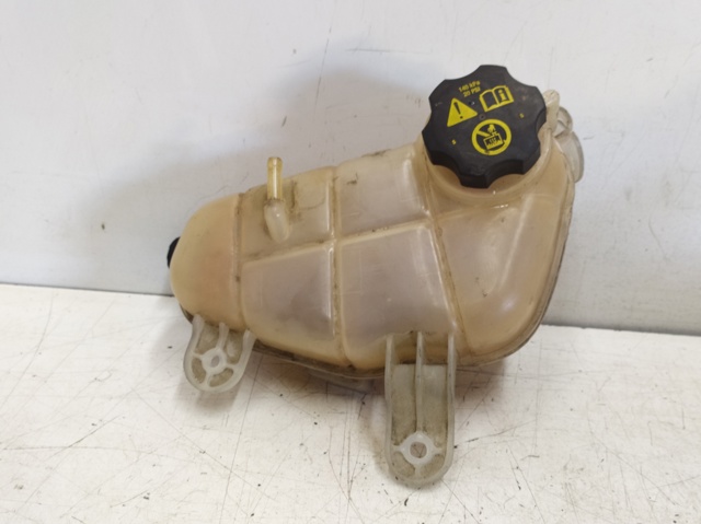 Zbiorniczek wyrównawczy układu chłodzenia 95048411 GM