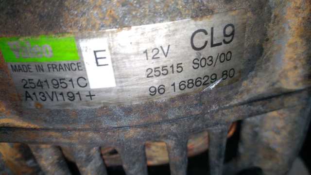 9616862980 Peugeot/Citroen